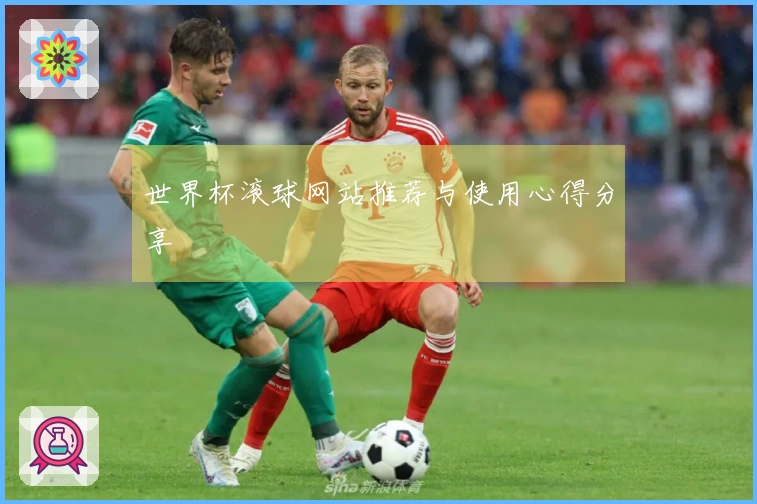 世界杯滚球网站推荐与使用心得分享