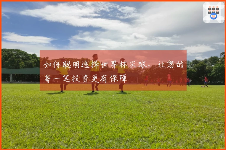 如何聪明选择世界杯买球，让您的每一笔投资更有保障