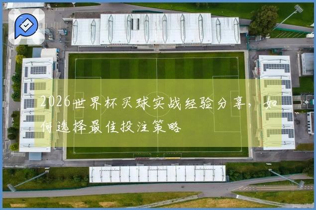 2026世界杯买球实战经验分享，如何选择最佳投注策略