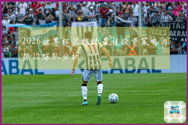 2026世界杯买球的最佳投资策略与热门球队分析