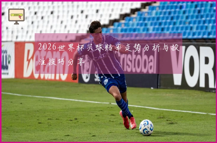 2026世界杯买球赔率走势分析与投注技巧分享