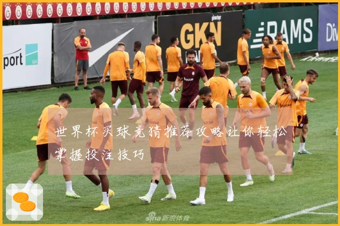 世界杯买球竞猜推荐攻略让你轻松掌握投注技巧