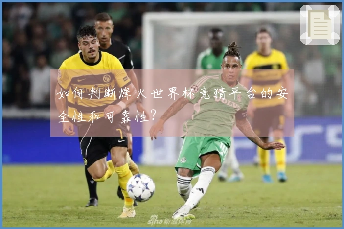 如何判断烽火世界杯竞猜平台的安全性和可靠性?