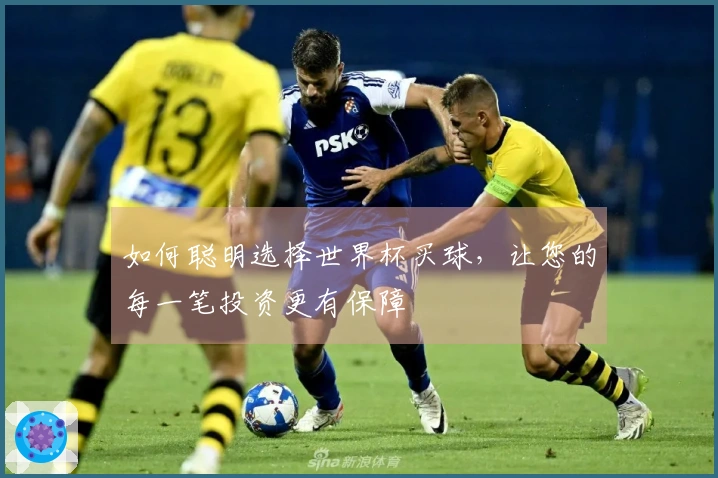 如何聪明选择世界杯买球，让您的每一笔投资更有保障