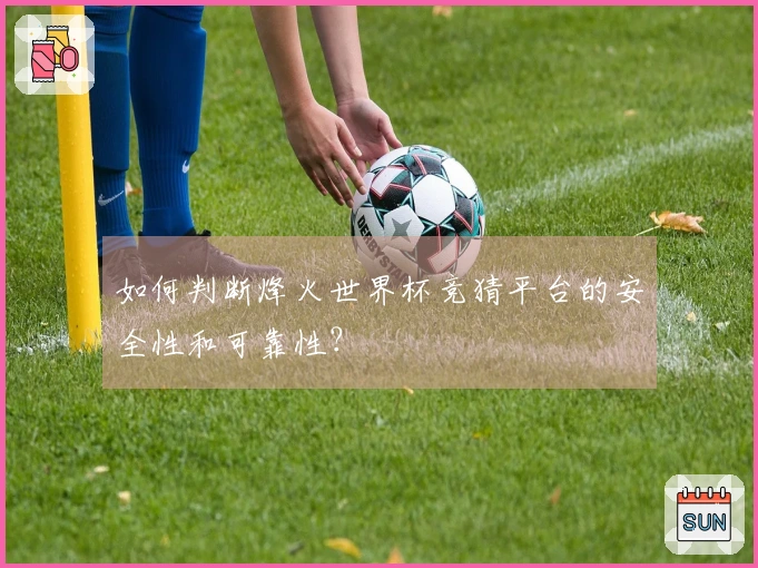 如何判断烽火世界杯竞猜平台的安全性和可靠性？